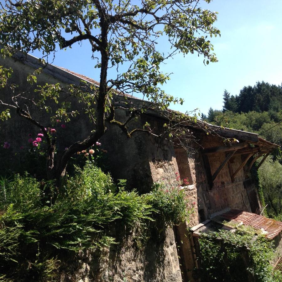 Trivy Chambre Privative Et Originale, A 20 Mn De Cluny מראה חיצוני תמונה