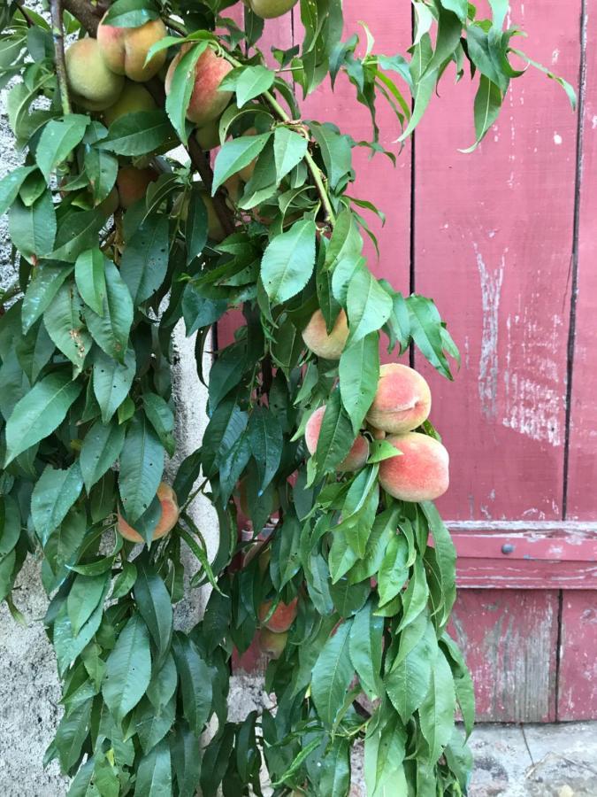 Trivy Chambre Privative Et Originale, A 20 Mn De Cluny מראה חיצוני תמונה